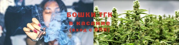 СК Аркадак