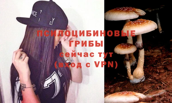 СК Аркадак