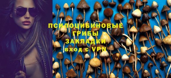 ешки Нефтегорск