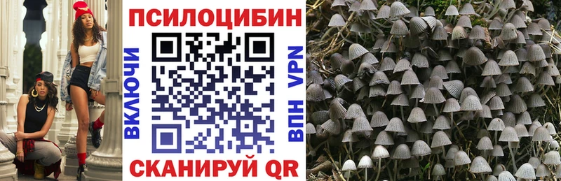 купить закладку  Мурманск  Псилоцибиновые грибы Cubensis 